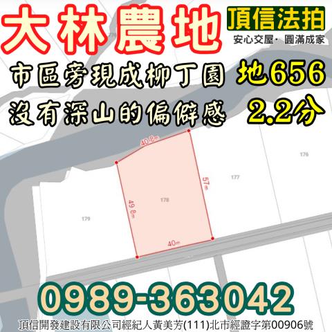 大林法拍農地-3