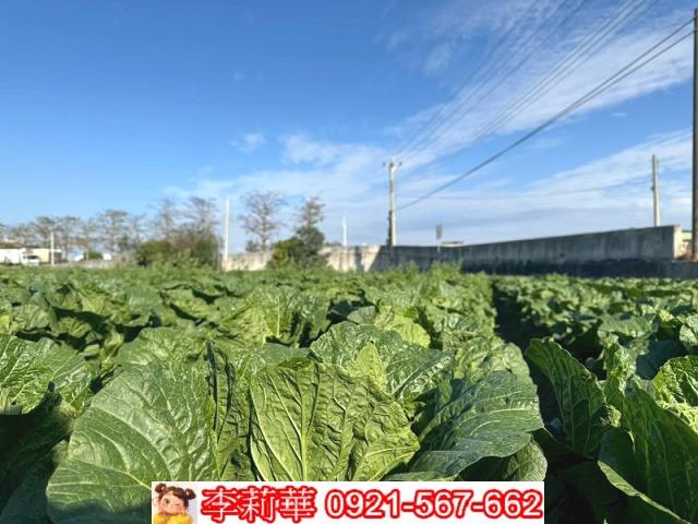 西螺農地-8