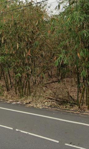 梅山法拍農地-9