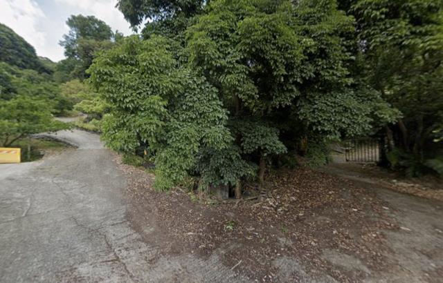 台中農地法拍-2