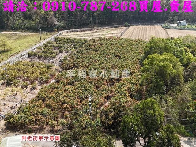 台南官田農地-13