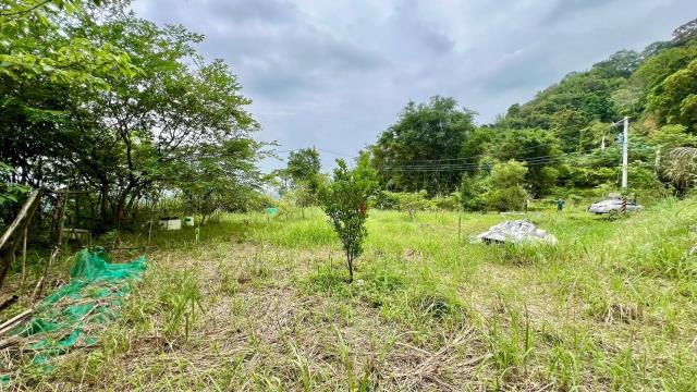 新竹橫山農地-13