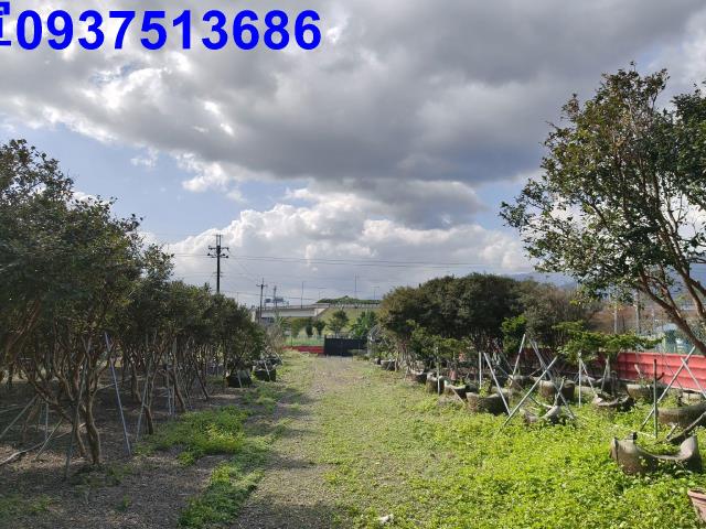 宜蘭礁溪農地-10