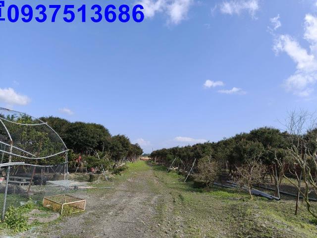 宜蘭礁溪農地-14