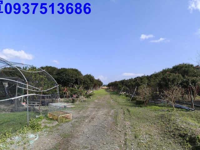 宜蘭礁溪農地-15