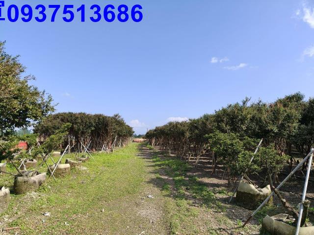 宜蘭礁溪農地-1