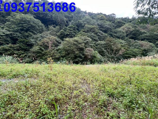 宜蘭員山農地-1