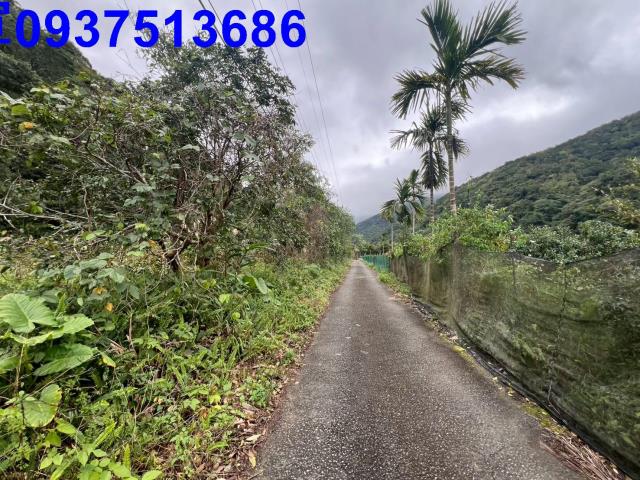 宜蘭員山農地-7