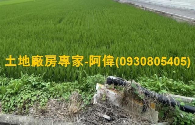 高雄農地-1