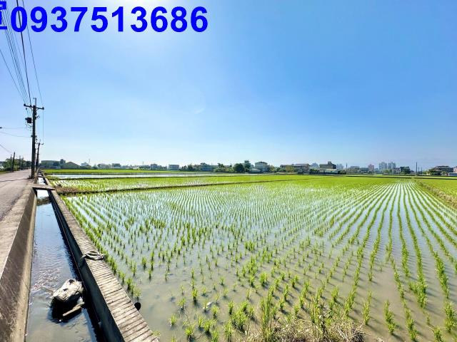 宜蘭宜蘭市農地-5