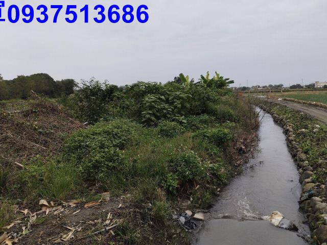 宜蘭三星農地-1