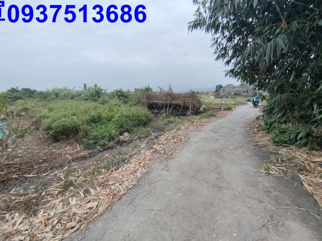 宜蘭三星農地-8