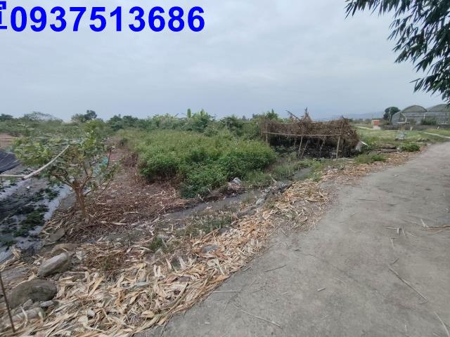 宜蘭三星農地-9