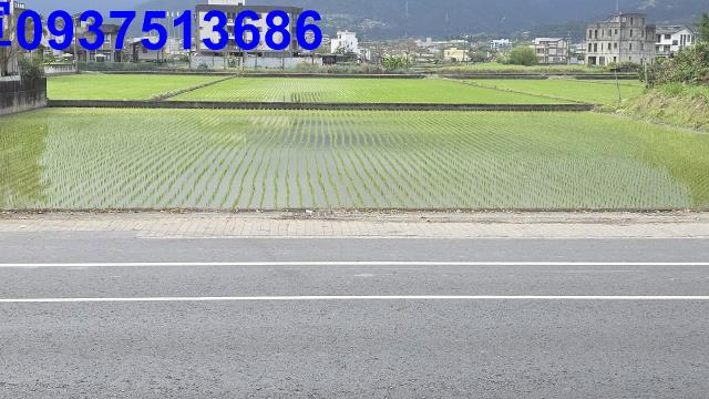 宜蘭宜蘭市農地-2