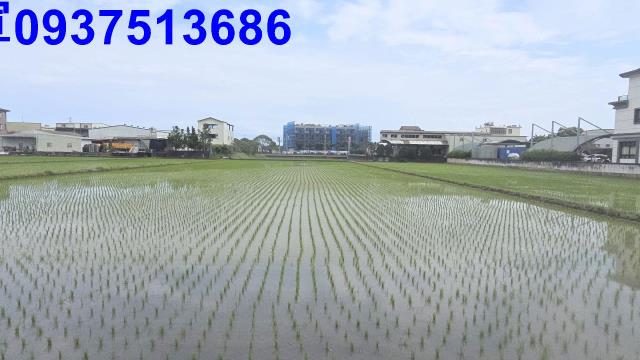 宜蘭宜蘭市農地-1