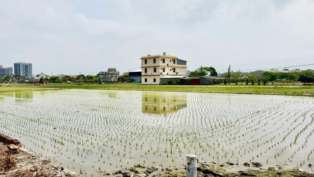新竹竹北農地-10