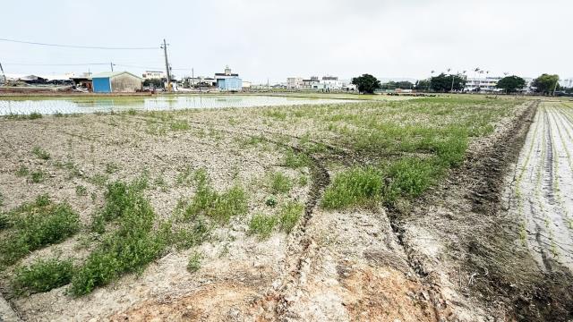 新竹竹北農地-13