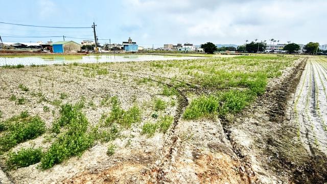 新竹竹北農地-4