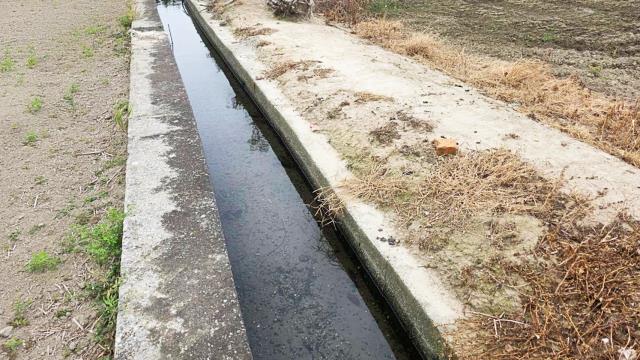 新竹竹北農地-5