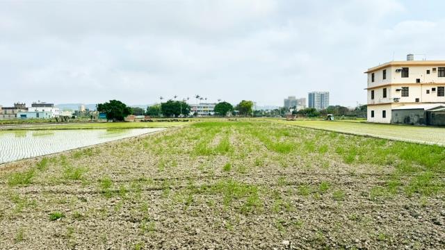 新竹竹北農地-7