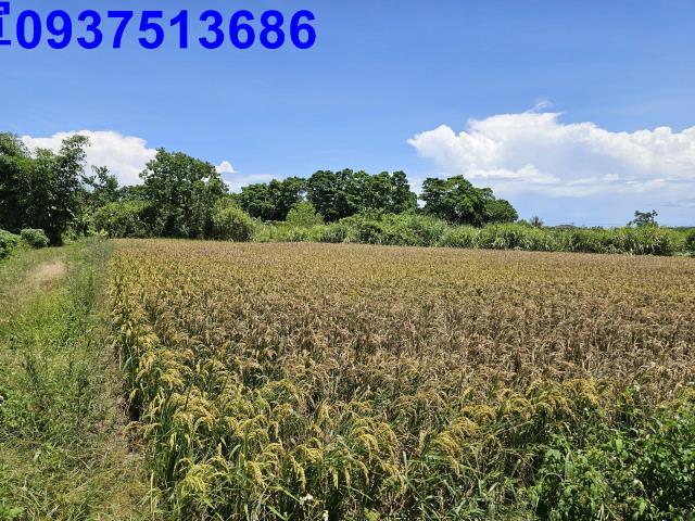 宜蘭員山農地-4