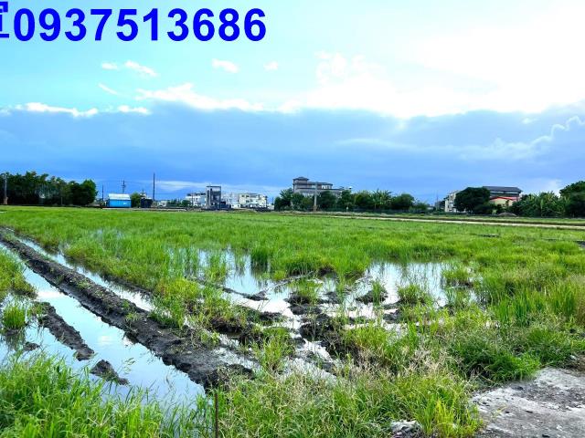 宜蘭壯圍農地-9