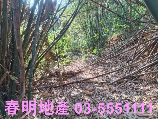 新竹寶山農地-2