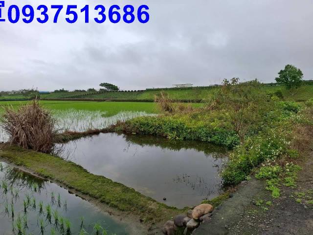 宜蘭宜蘭市農地-5