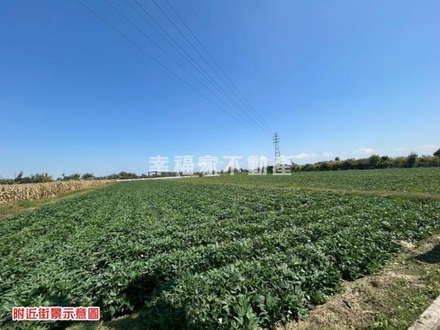 台南新化農地-2