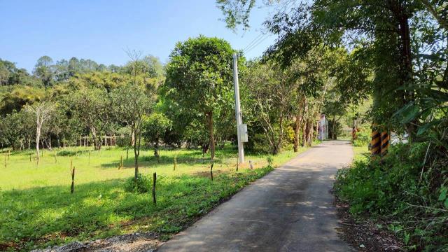 新竹橫山農地-14