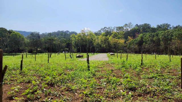 新竹橫山農地-4