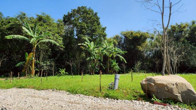 新竹橫山農地-5