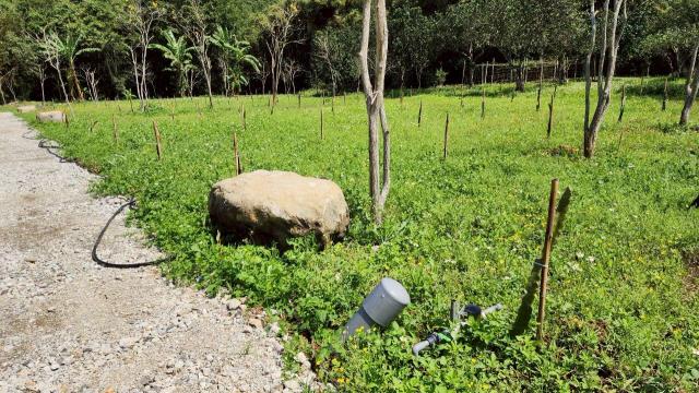 新竹橫山農地-7