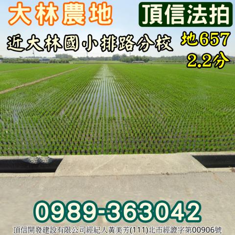 嘉義大林拍賣農地-1