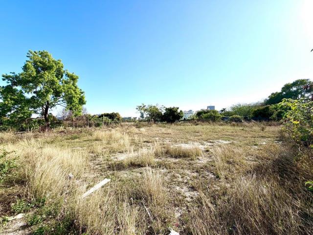 台中西屯農地-5