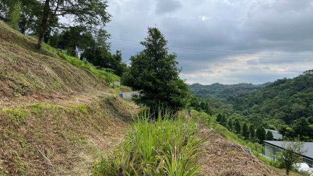 新竹北埔農地-13