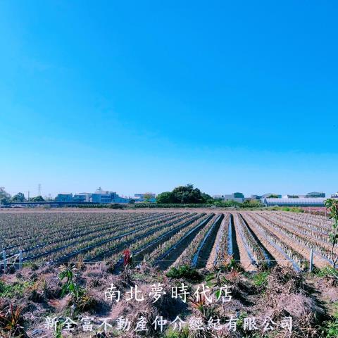 台南農地-7