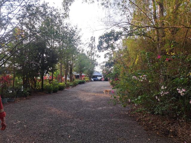 南投竹山農地-6