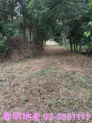 新竹芎林農地-7