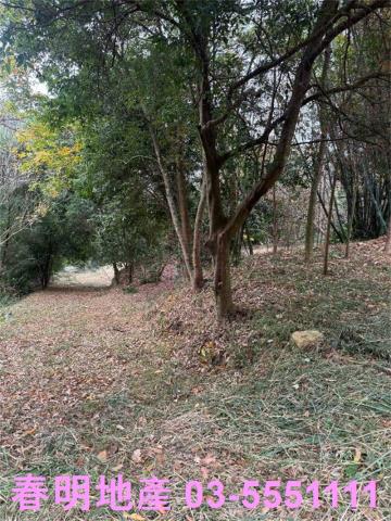 新竹芎林農地-8