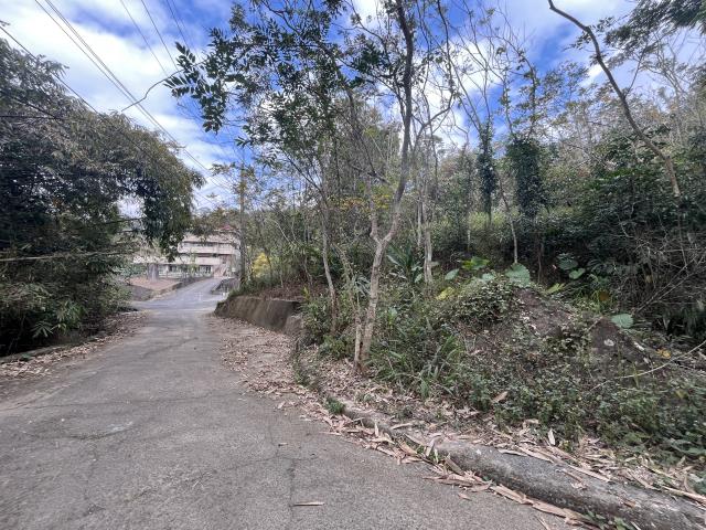 南投鹿谷農地-1