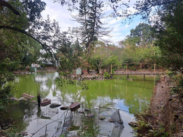 南投竹山農地-6