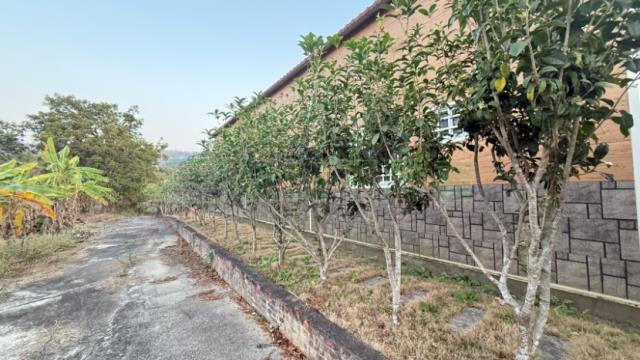 高雄內門農地-8