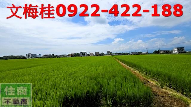 員山農地-2