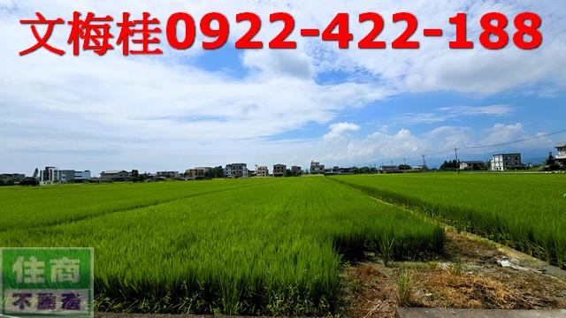 員山農地-4