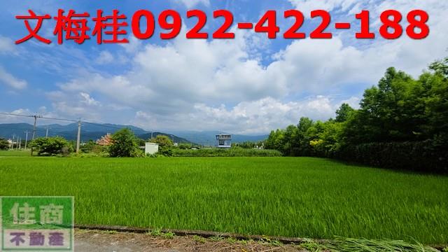 員山農地-5