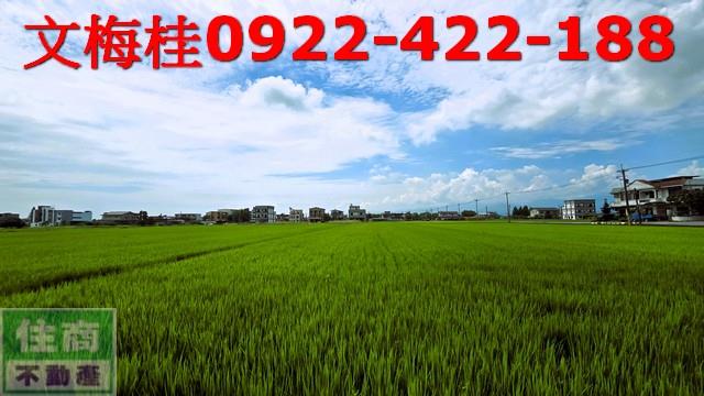 員山農地-6