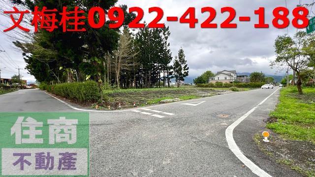礁溪農地-4