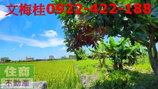 宜蘭農地-2