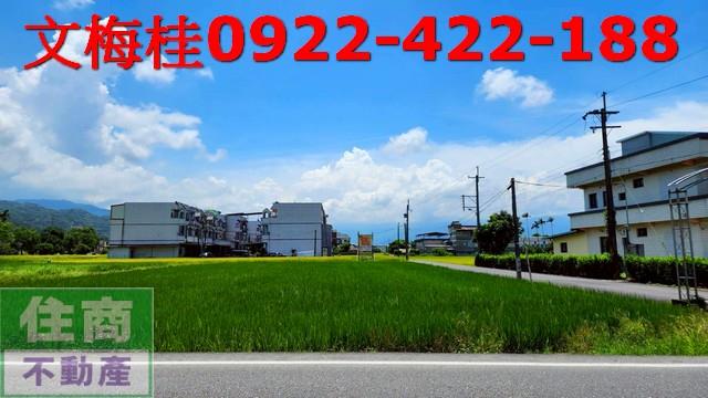 宜蘭農地-4
